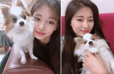 TWICE's Tzuyu says goodbye to her beloved pet Gucci